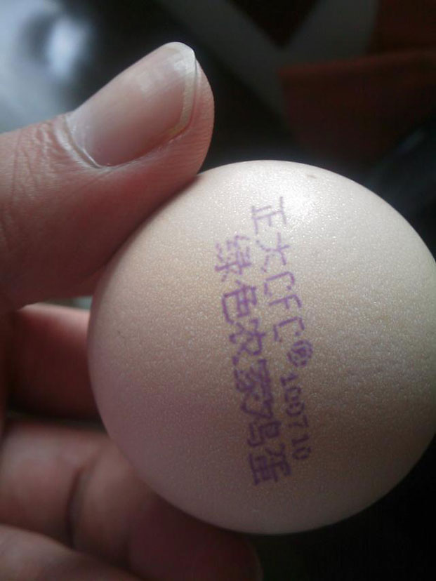 生产商必须了解小字符鸡蛋喷码机在使用中泛起散点的因素是什么？